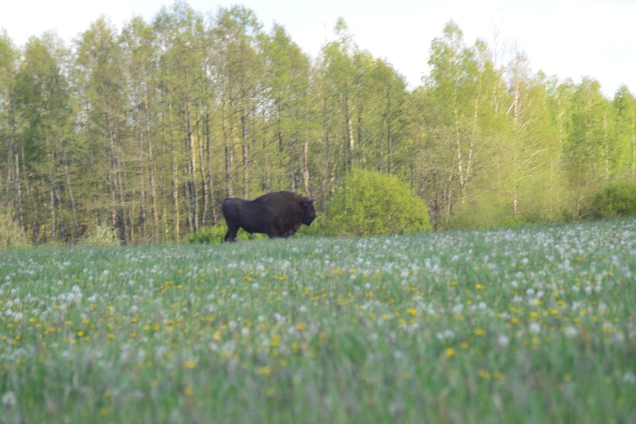 Ciche Podlasie Siemianowka Eksteriør bilde